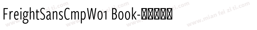 FreightSansCmpW01 Book字体转换
